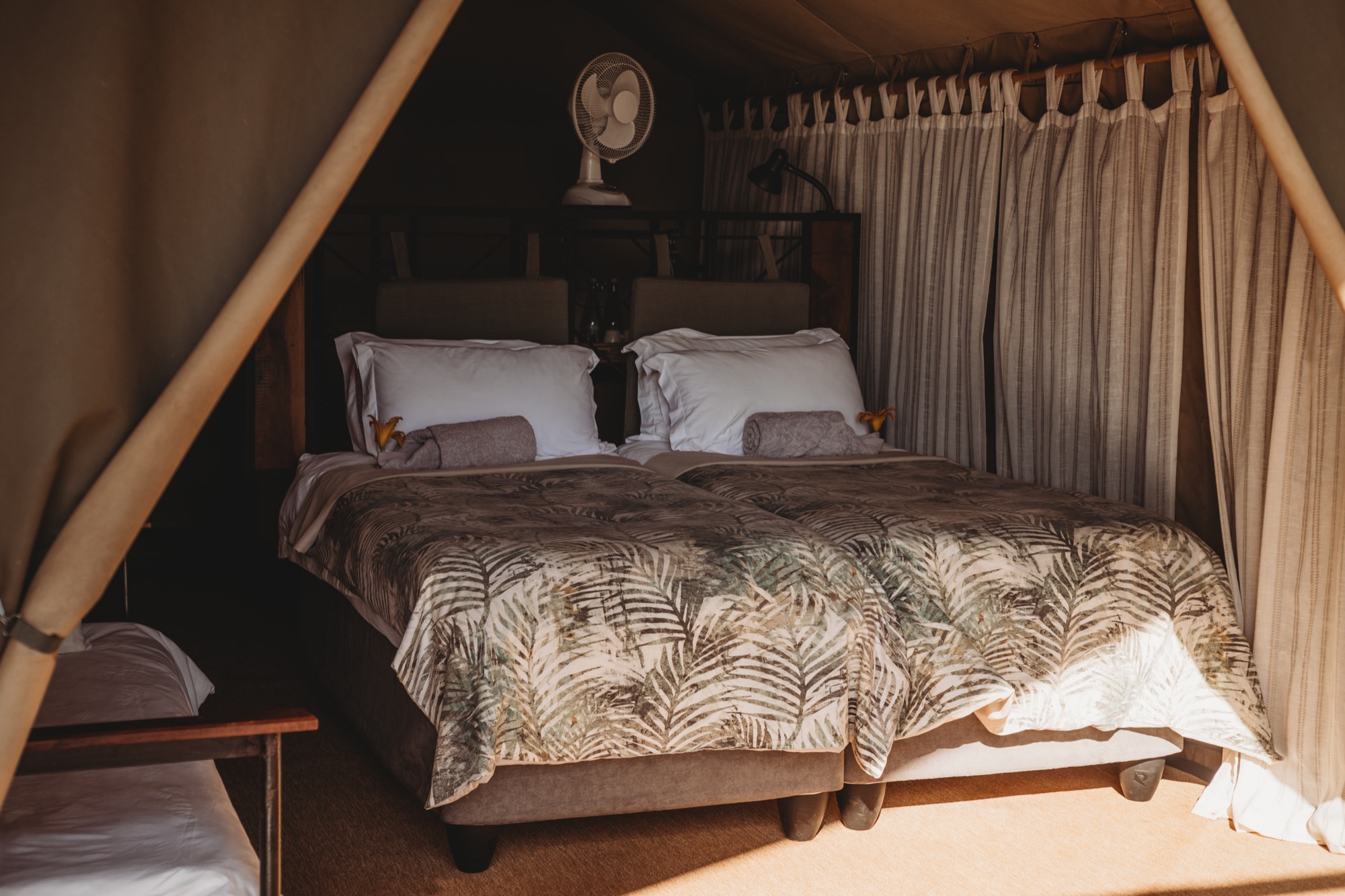 Standard Tent interior with daybed
